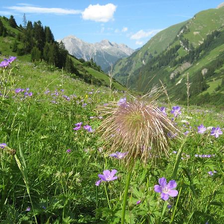 Ferienwohnungen Schlichtherle Bach  Dış mekan fotoğraf