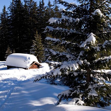 Ferienwohnungen Schlichtherle Bach  Dış mekan fotoğraf