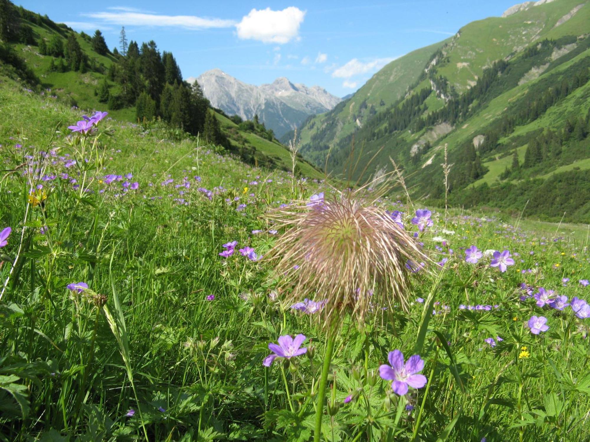 Ferienwohnungen Schlichtherle Bach  Dış mekan fotoğraf